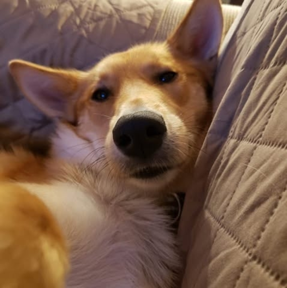 Meet your Posher, Kim